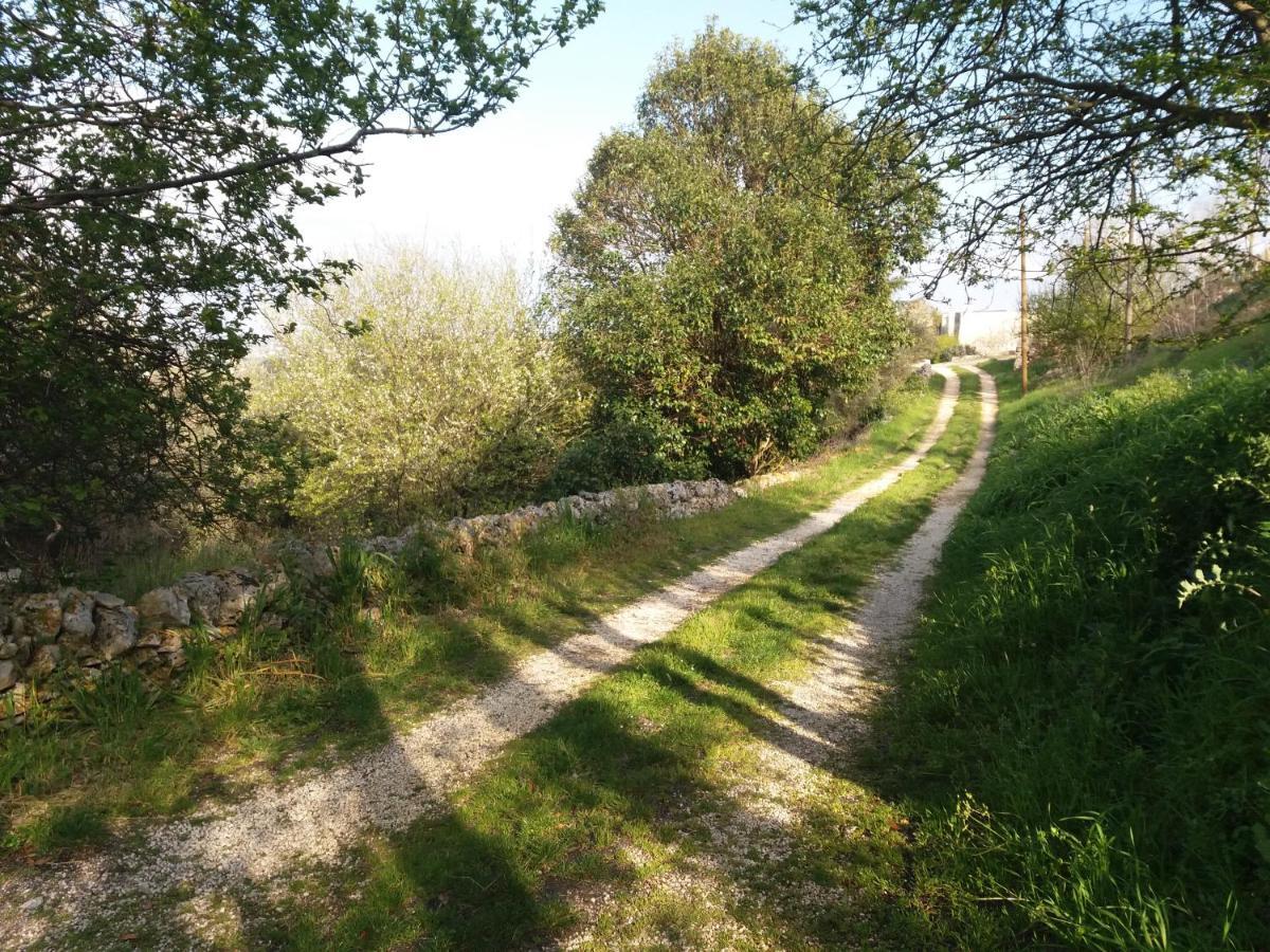מרטינה פרנקה Trulli Di Puglia - Casa Vacanze In Valle D'Itria מראה חיצוני תמונה