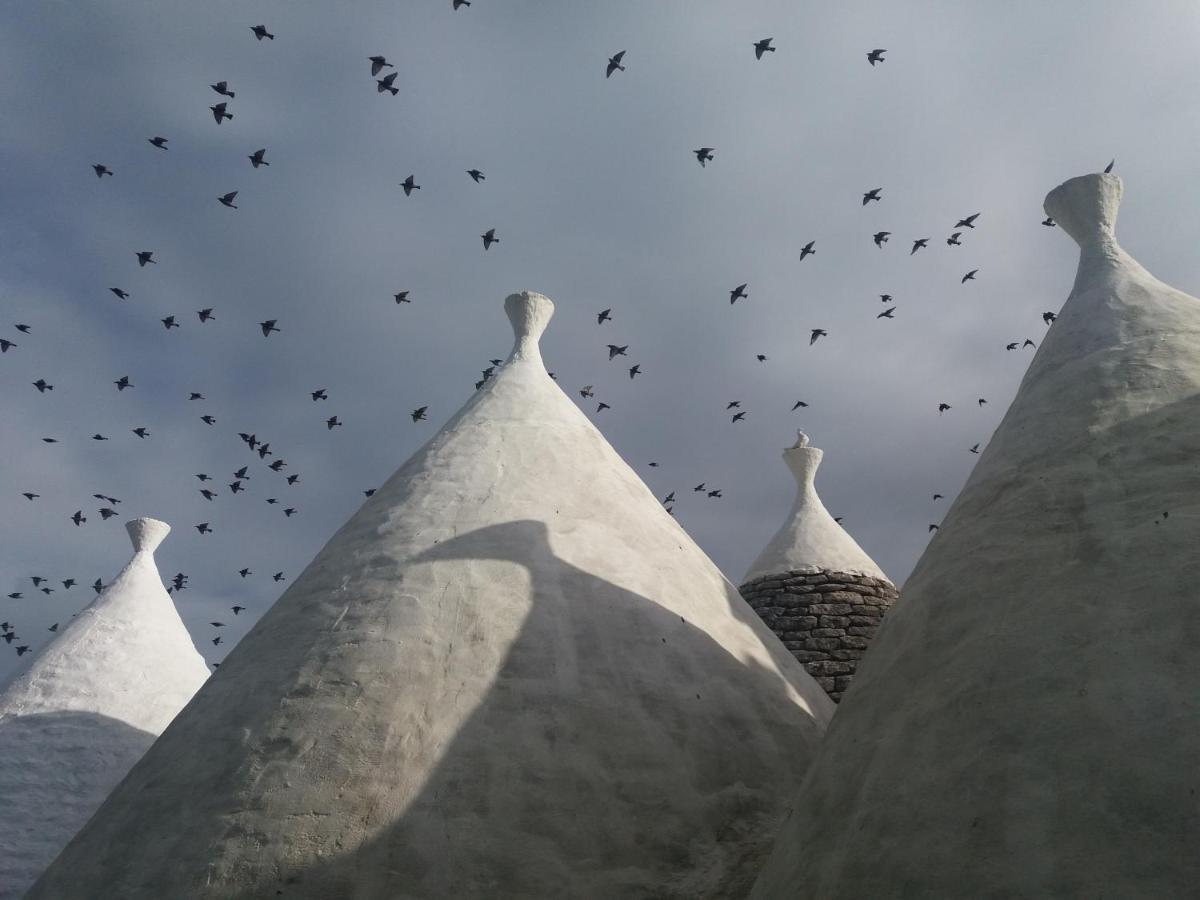 מרטינה פרנקה Trulli Di Puglia - Casa Vacanze In Valle D'Itria מראה חיצוני תמונה