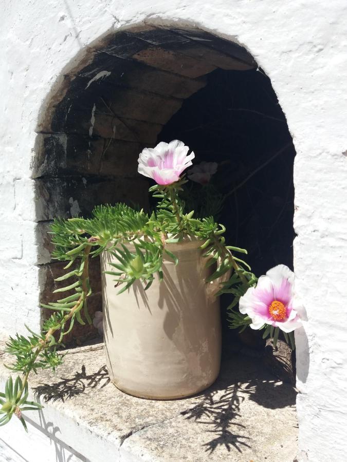 מרטינה פרנקה Trulli Di Puglia - Casa Vacanze In Valle D'Itria מראה חיצוני תמונה